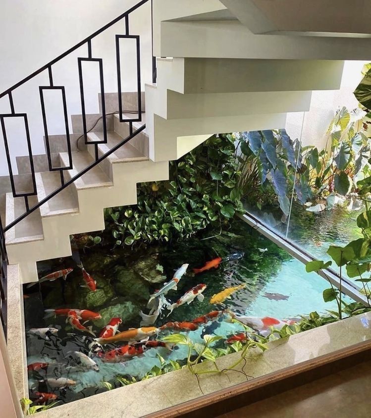 Mẫu hồ koi sân vườn nhà phố đẹp